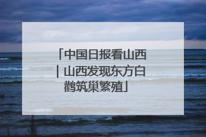 中国日报看山西｜山西发现东方白鹳筑巢繁殖