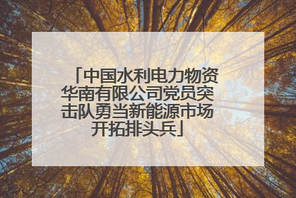 中国水利电力物资华南有限公司党员突击队勇当新能源市场开拓排头兵