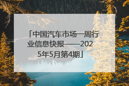 中国汽车市场一周行业信息快报——2025年5月第4期