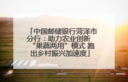 中国邮储银行菏泽市分行：助力农业创新 “果蔬两用”模式 跑出乡村振兴加速度