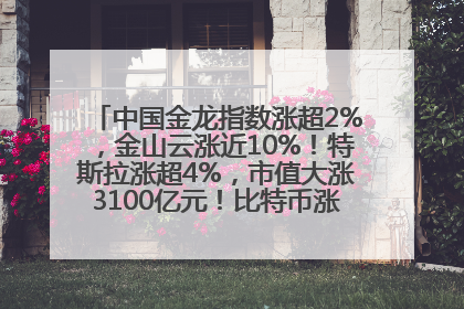 中国金龙指数涨超2%，金山云涨近10%！特斯拉涨超4%，市值大涨3100亿元！比特币涨回11万美元关口
