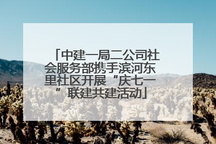 中建一局二公司社会服务部携手滨河东里社区开展“庆七一”联建共建活动