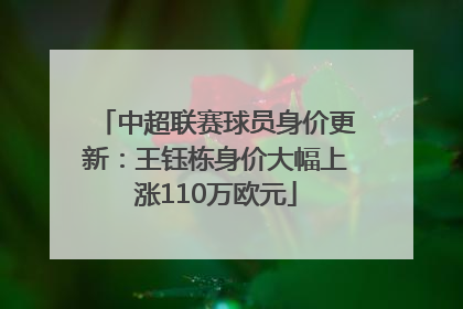 中超联赛球员身价更新：王钰栋身价大幅上涨110万欧元