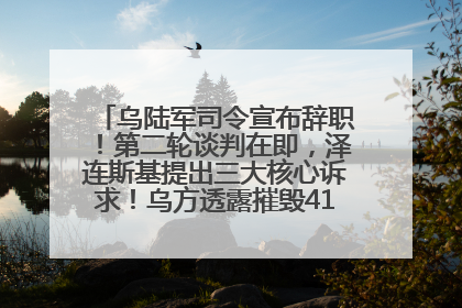 乌陆军司令宣布辞职！第二轮谈判在即，泽连斯基提出三大核心诉求！乌方透露摧毁41架俄战略轰炸机