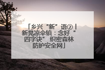 乡兴“新”语②丨新晃凉伞镇：念好“四字诀” 织密森林防护安全网