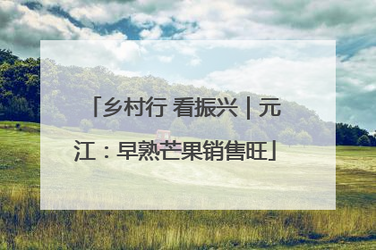 乡村行 看振兴｜元江：早熟芒果销售旺
