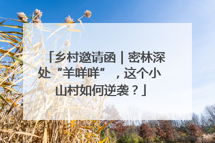 乡村邀请函｜密林深处“羊咩咩”，这个小山村如何逆袭？