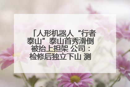 人形机器人“行者泰山”泰山首秀滑倒被抬上担架 公司：检修后独立下山 测试就是为暴露问题