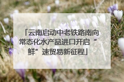 云南启动中老铁路南向常态化水产品进口开启“鲜”速贸易新征程