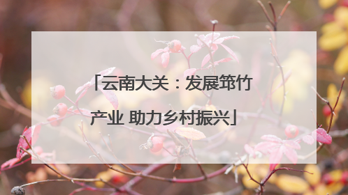 云南大关：发展筇竹产业 助力乡村振兴