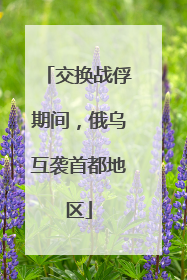交换战俘期间，俄乌互袭首都地区