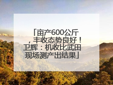亩产600公斤，丰收态势良好！卫辉：机收比武田现场测产出结果