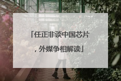 任正非谈中国芯片，外媒争相解读