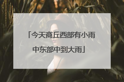 今天商丘西部有小雨 中东部中到大雨