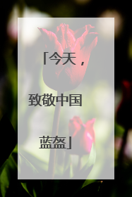 今天，致敬中国蓝盔