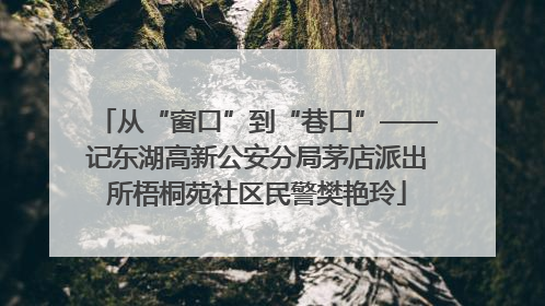 从“窗口”到“巷口”——记东湖高新公安分局茅店派出所梧桐苑社区民警樊艳玲