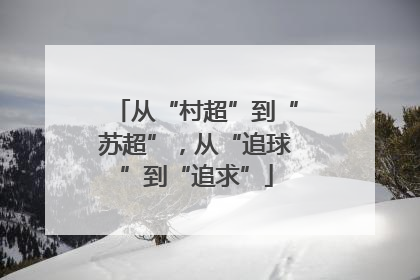 从“村超”到“苏超”，从“追球”到“追求”