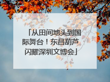 从田间地头到国际舞台！东昌葫芦闪耀深圳文博会