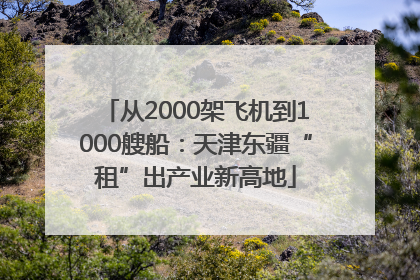 从2000架飞机到1000艘船：天津东疆“租”出产业新高地