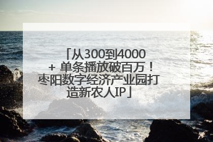 从300到4000+ 单条播放破百万！枣阳数字经济产业园打造新农人IP