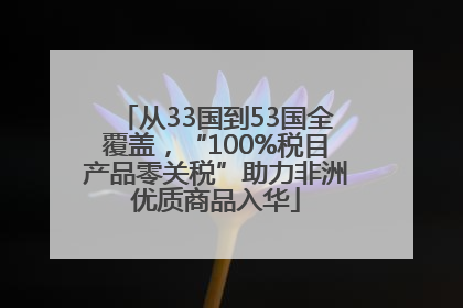 从33国到53国全覆盖，“100%税目产品零关税”助力非洲优质商品入华
