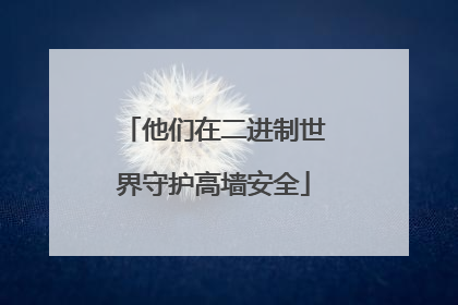 他们在二进制世界守护高墙安全