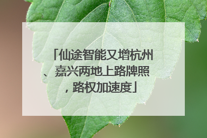 仙途智能又增杭州、嘉兴两地上路牌照，路权加速度