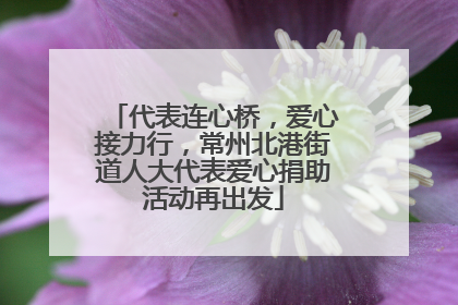 代表连心桥，爱心接力行，常州北港街道人大代表爱心捐助活动再出发