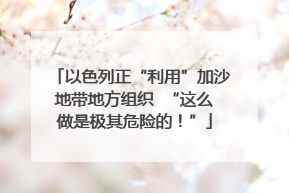 以色列正“利用”加沙地带地方组织  “这么做是极其危险的！”