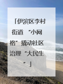 伊滨区李村街道 “小网格”撬动社区治理“大民生”
