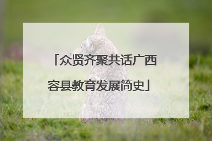 众贤齐聚共话广西容县教育发展简史