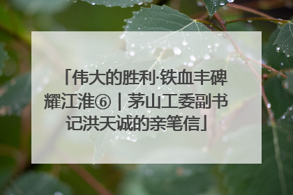 伟大的胜利·铁血丰碑耀江淮⑥｜茅山工委副书记洪天诚的亲笔信