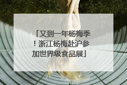 又到一年杨梅季！浙江杨梅赴沪参加世界级食品展