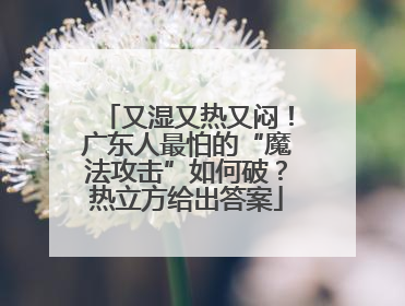 又湿又热又闷！广东人最怕的“魔法攻击”如何破？热立方给出答案
