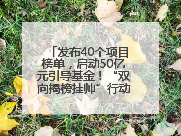 发布40个项目榜单，启动50亿元引导基金！“双向揭榜挂帅”行动成果丰硕