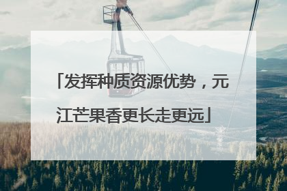 发挥种质资源优势，元江芒果香更长走更远