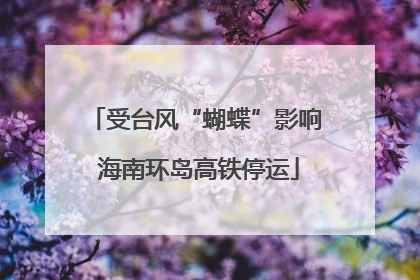 受台风“蝴蝶”影响 海南环岛高铁停运