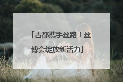 古都携手丝路！丝博会绽放新活力