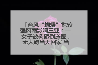 台风“蝴蝶”携较强风雨影响三亚：一女子被树砸倒送医，无大碍当天回家 当地已紧急清障