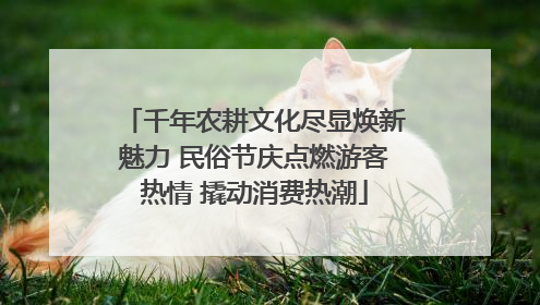 千年农耕文化尽显焕新魅力 民俗节庆点燃游客热情 撬动消费热潮
