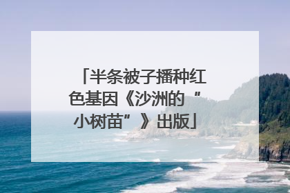 半条被子播种红色基因《沙洲的“小树苗”》出版