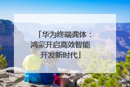 华为终端龚体：鸿蒙开启高效智能开发新时代