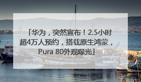 华为，突然宣布！2.5小时超4万人预约，搭载原生鸿蒙，Pura 80外观曝光