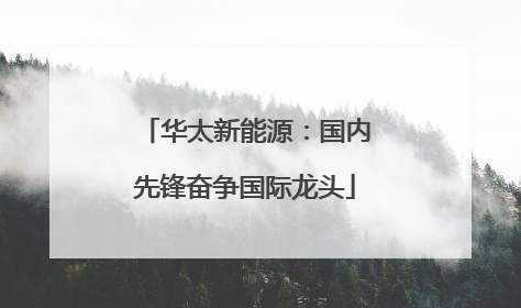 华太新能源：国内先锋奋争国际龙头