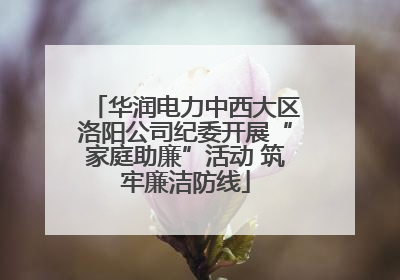 华润电力中西大区洛阳公司纪委开展“家庭助廉”活动 筑牢廉洁防线