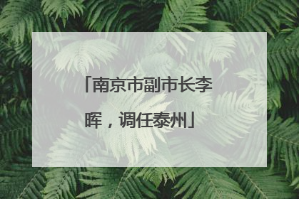 南京市副市长李晖，调任泰州