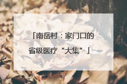 南岳村：家门口的省级医疗“大集”