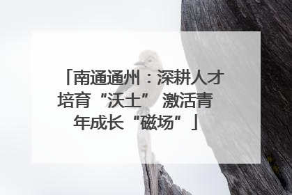 南通通州：深耕人才培育“沃土” 激活青年成长“磁场”