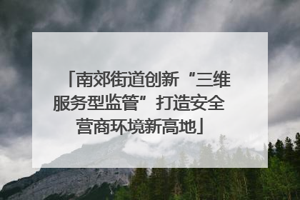 南郊街道创新“三维服务型监管”打造安全营商环境新高地