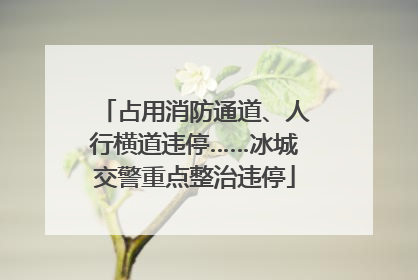 占用消防通道、人行横道违停……冰城交警重点整治违停